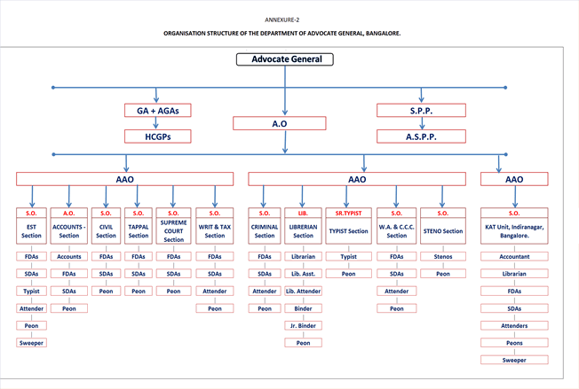 Organization Chart 1